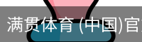 满贯体育 (中国)官方网站